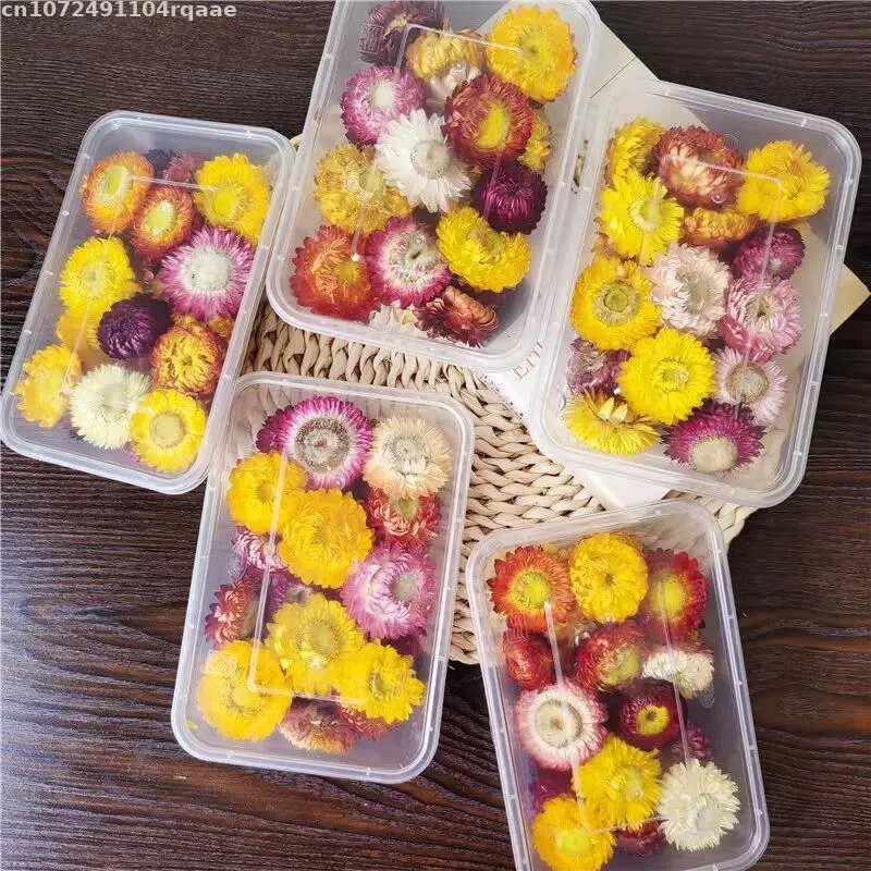 100% Natural Dried Flowers Bra – Candle Making Material Wholesale recenzja i cena