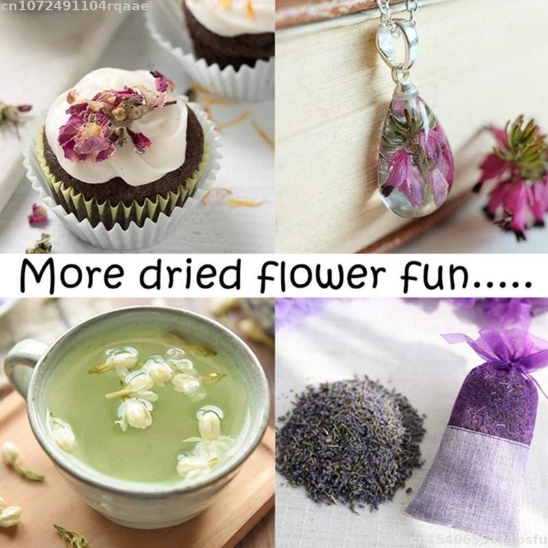 100% Natural Dried Flowers Bra – Candle Making Material Wholesale recenzja i cena