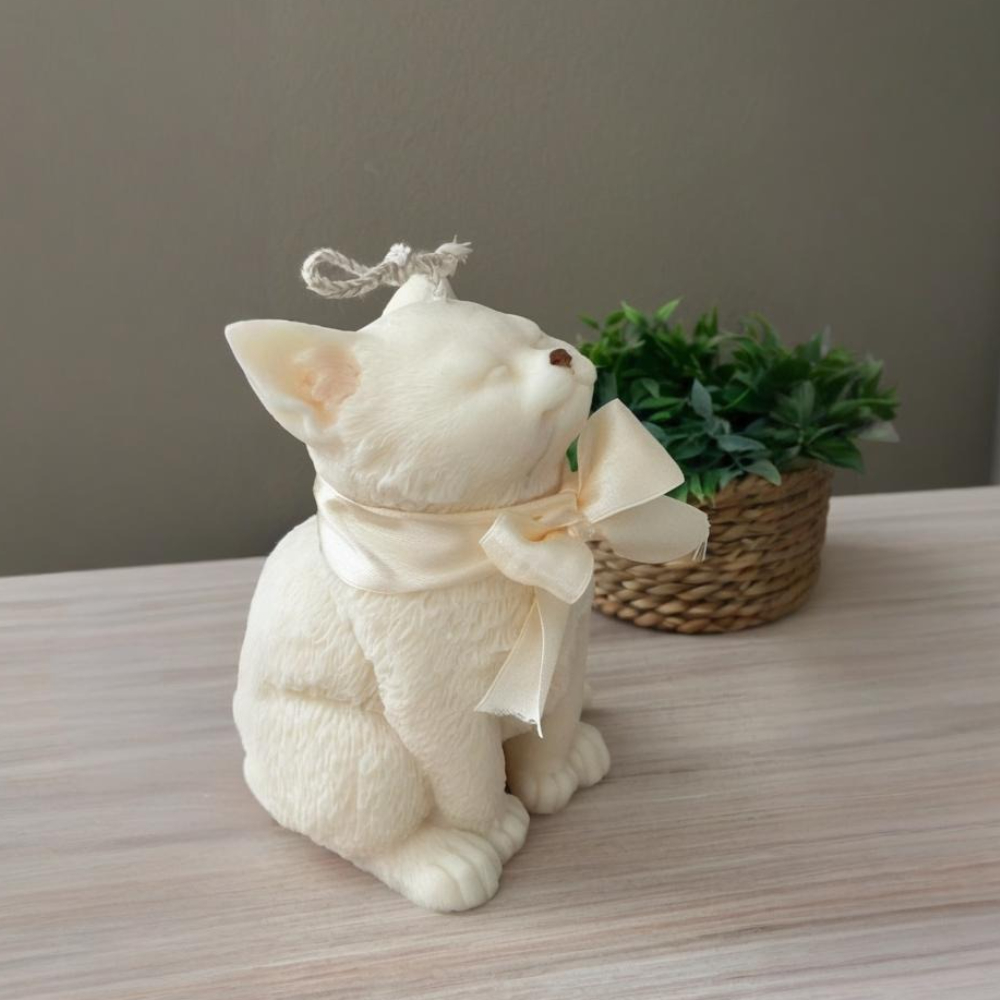 Smile Cat Silicone Mold for DI – Candle Making Party recenzja i cena