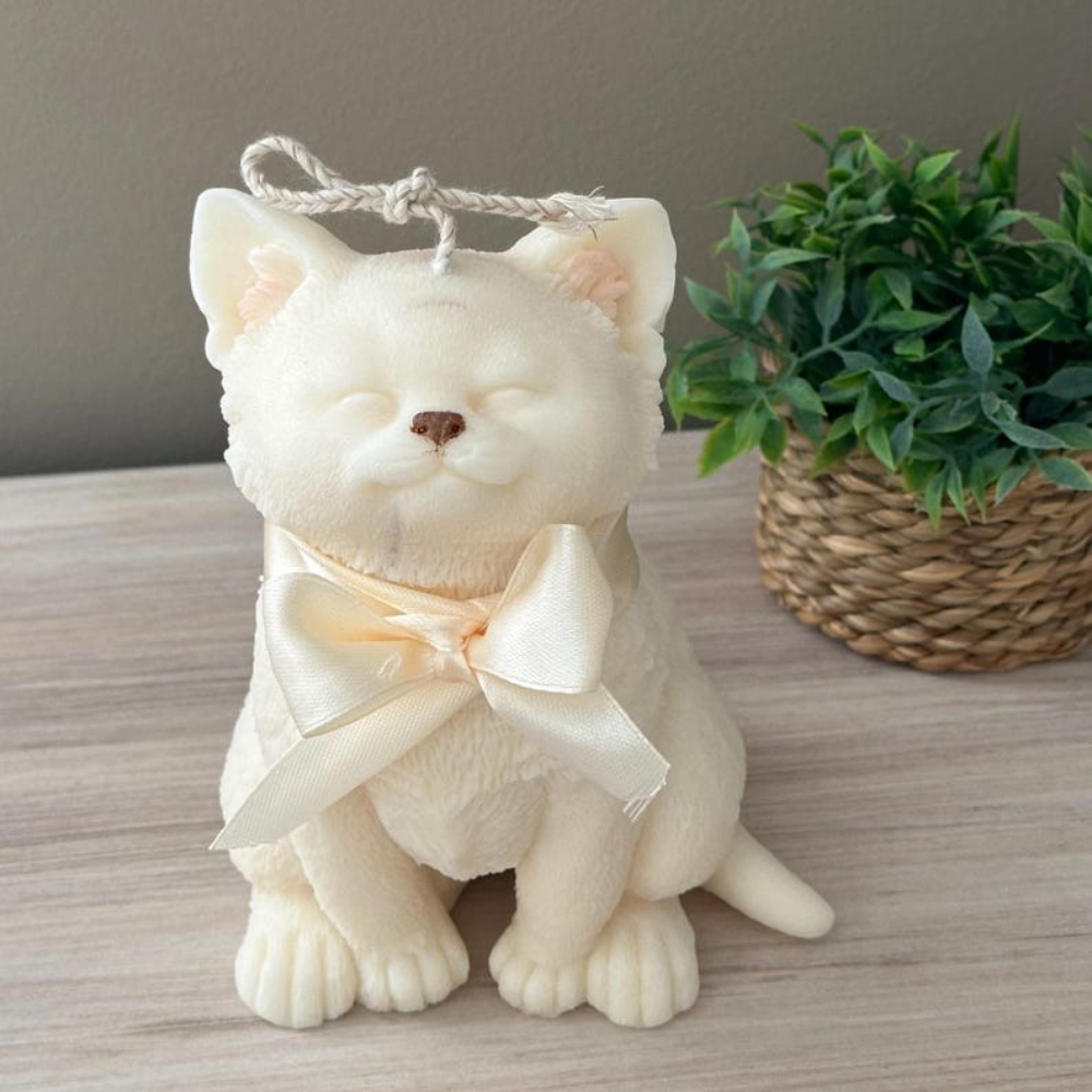 Smile Cat Silicone Mold for DI – Candle Making Party recenzja i cena
