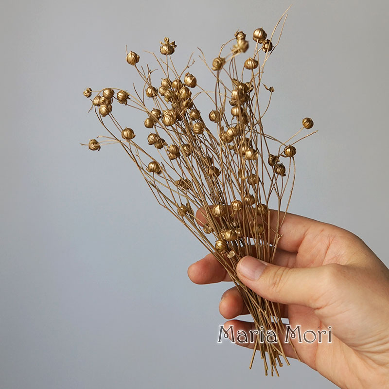 5g Preserved Flax Bean Natural – Candle Making Diy recenzja i cena